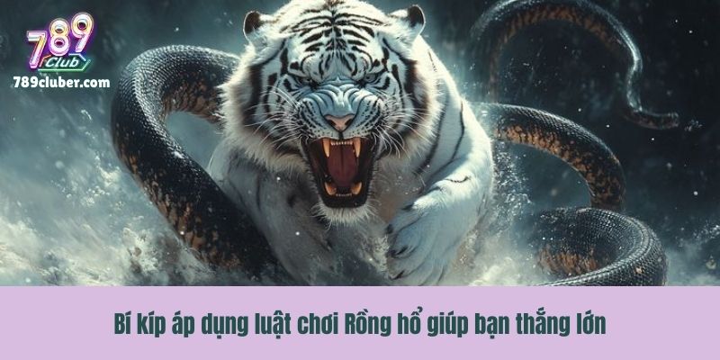 Bí kíp áp dụng luật chơi Rồng hổ giúp bạn thắng lớn
