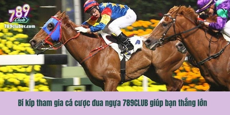 Bí kíp tham gia cá cược đua ngựa 789CLUB giúp bạn thắng lớn