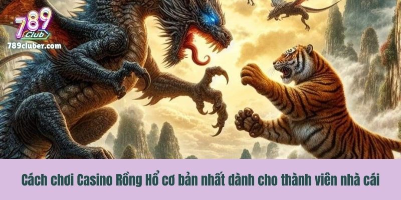 Cách chơi Casino Rồng Hổ cơ bản nhất dành cho thành viên nhà cái