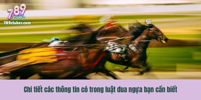 Chi tiết các thông tin có trong luật đua ngựa bạn cần biết