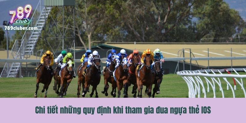 Chi tiết những quy định khi tham gia đua ngựa thẻ IOS