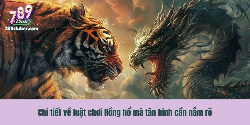 Chi tiết về luật chơi Rồng hổ mà tân binh cần nắm rõ