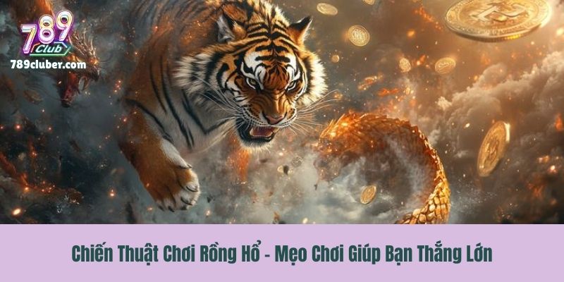 Chiến Thuật Chơi Rồng Hổ - Mẹo Chơi Giúp Bạn Thắng Lớn