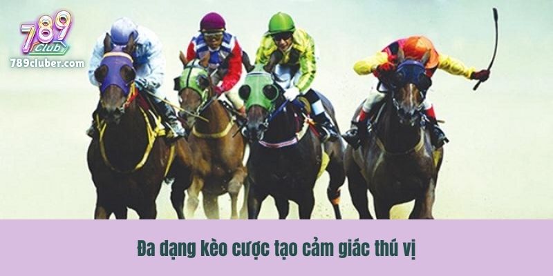 Đa dạng kèo cược tạo cảm giác thú vị