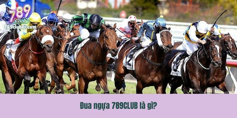 Đua ngựa 789CLUB là gì?