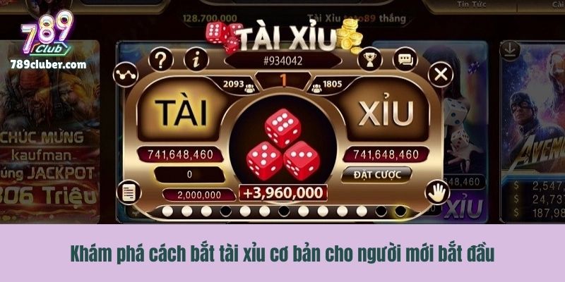 Khám phá cách bắt tài xỉu cơ bản cho người mới bắt đầu