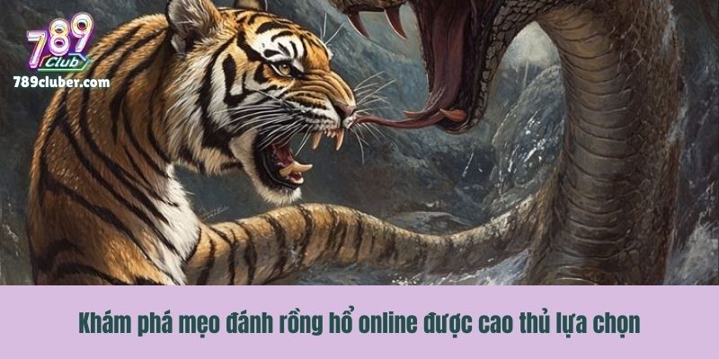Khám phá mẹo đánh rồng hổ online được cao thủ lựa chọn