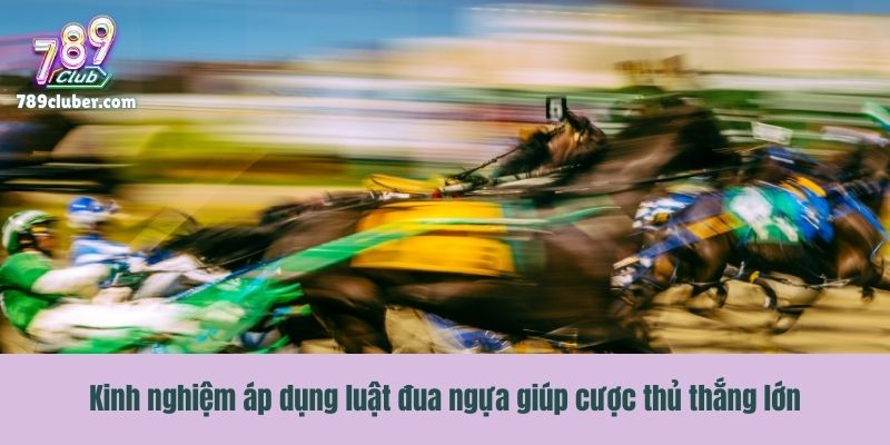 Kinh nghiệm áp dụng luật đua ngựa giúp cược thủ thắng lớn
