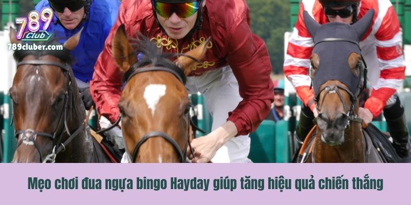 Mẹo chơi đua ngựa bingo Hayday giúp tăng hiệu quả chiến thắng