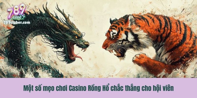 Một số mẹo chơi Casino Rồng Hổ chắc thắng cho hội viên