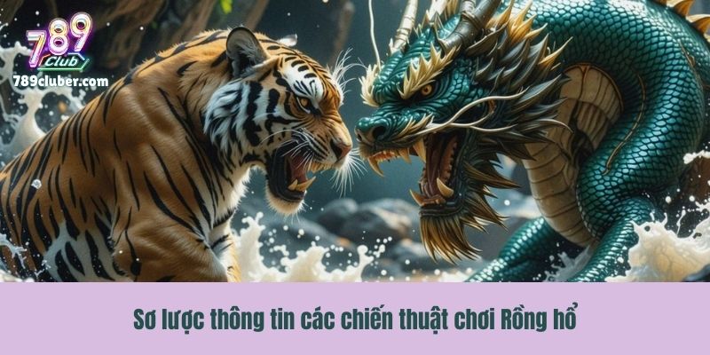 Sơ lược thông tin các chiến thuật chơi Rồng hổ
