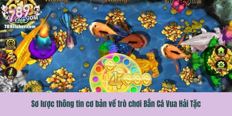 Sơ lược thông tin cơ bản về trò chơi Bắn Cá Vua Hải Tặc
