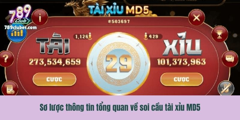 Sơ lược thông tin tổng quan về soi cầu tài xỉu MD5