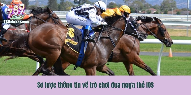 Sơ lược thông tin về trò chơi đua ngựa thẻ IOS