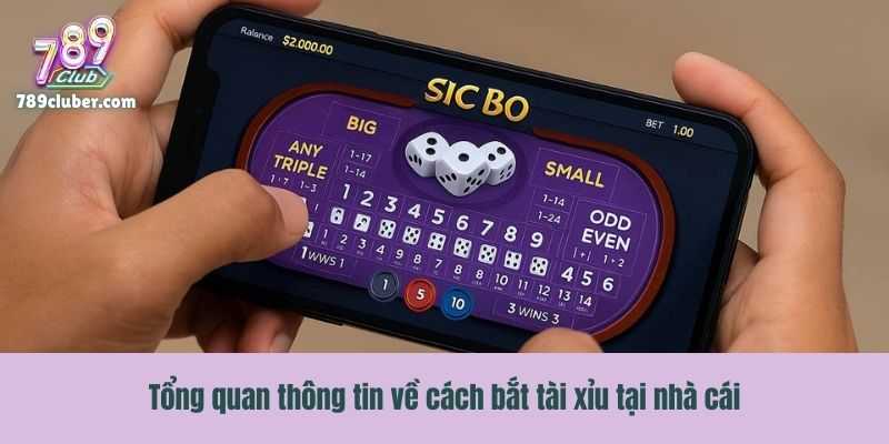 Tổng quan thông tin về cách bắt tài xỉu tại nhà cái