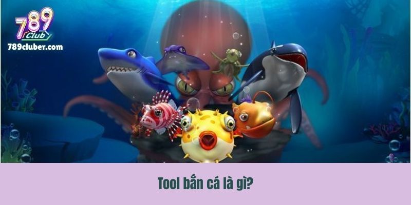 Tool bắn cá là gì?