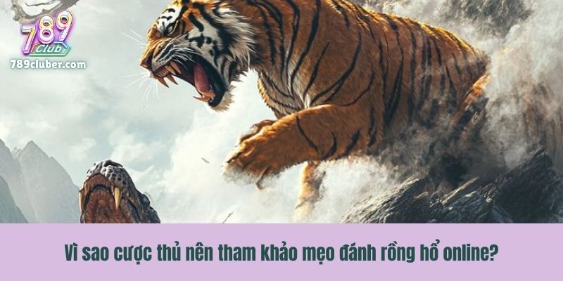 Vì sao cược thủ nên tham khảo mẹo đánh rồng hổ online?