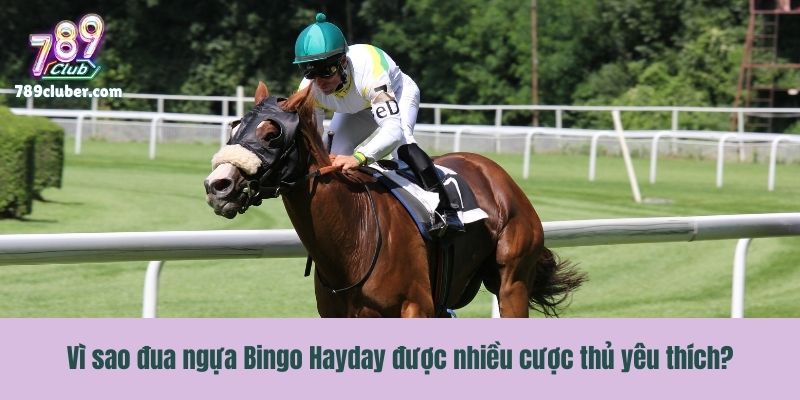 Vì sao đua ngựa Bingo Hayday được nhiều cược thủ yêu thích?